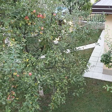 Apartman Apartment